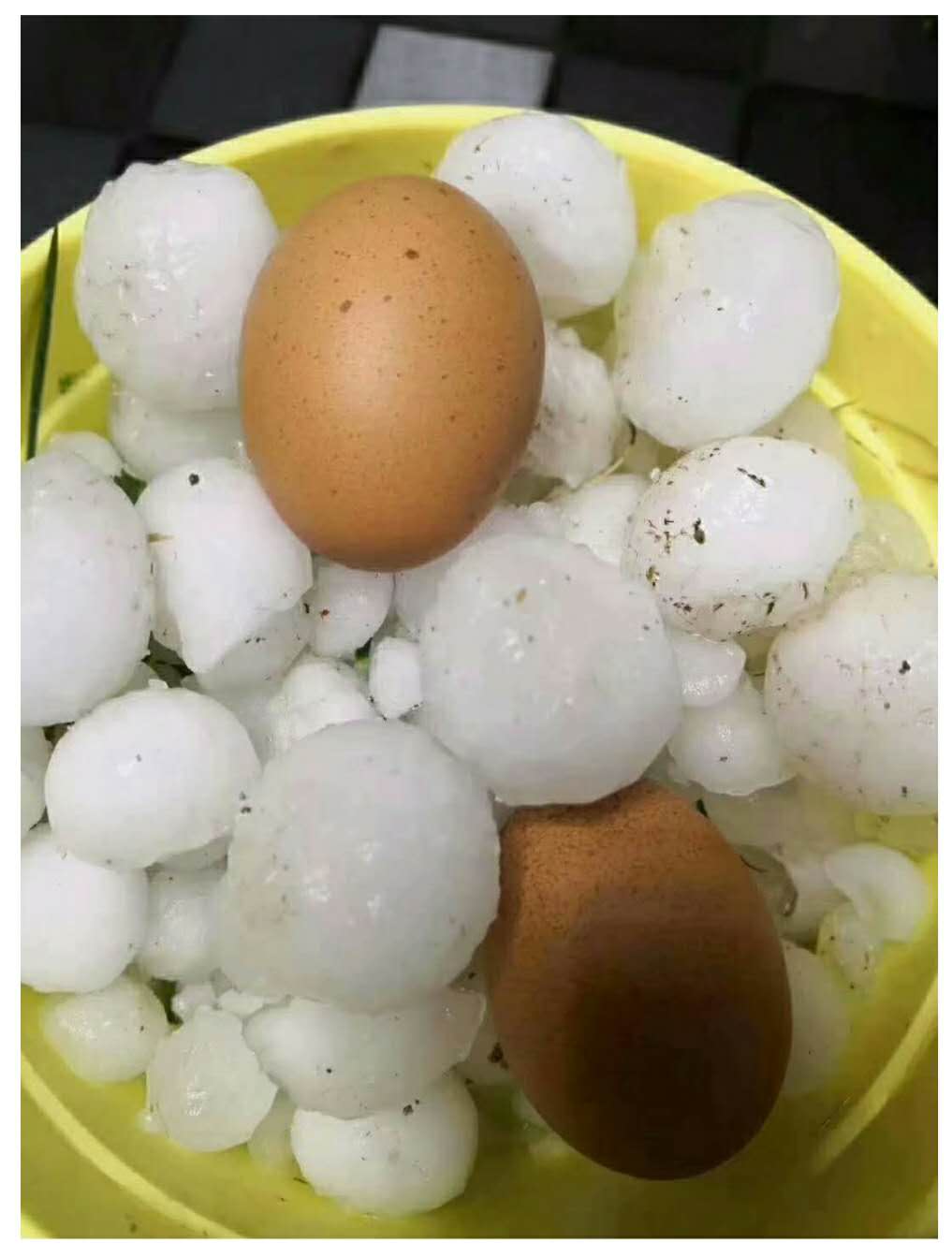 甘(gan)肅發生(shēng)冰雹災(zai)害 甘肅發(fā)生冰雹(báo)災害