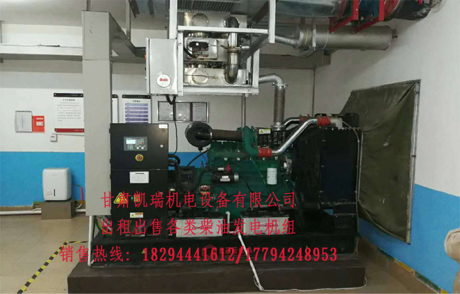 蘭州(zhōu)柴油發電機組(zu)廠家