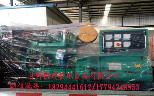 甘肅玉(yu)柴柴油(yóu)發電機(ji)組價格(ge) 甘肅玉(yù)柴柴油(you)發電機(ji)組價格(gé)