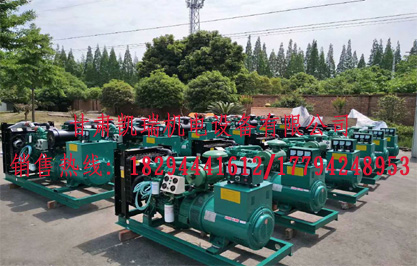 蘭州柴油發電機(ji)組價格 蘭州柴(chai)油發電機組價格(ge)